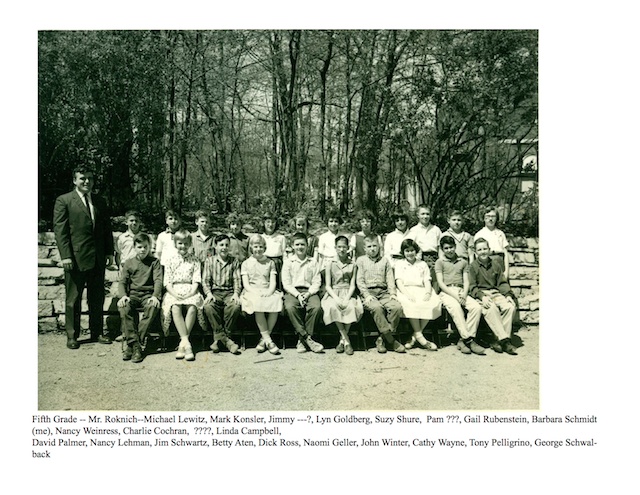 Fifth Grade Mr. Roknich